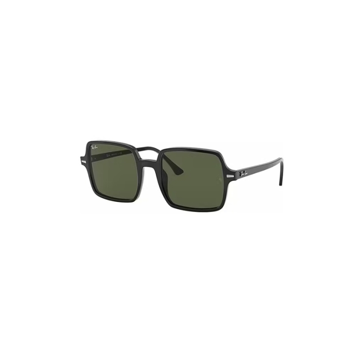 Ray Ban RB1973-901/31-53
